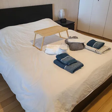 Apartamento Loft Avec Spa Et Billard Brest